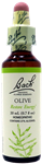 Olive 20ml