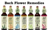 One Each of the 38 Bach Flower Remedies (20ml) Kit Refill  - Exp. date 2026+